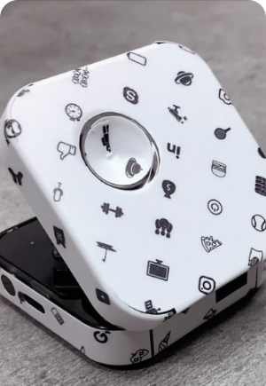 earbuds skin